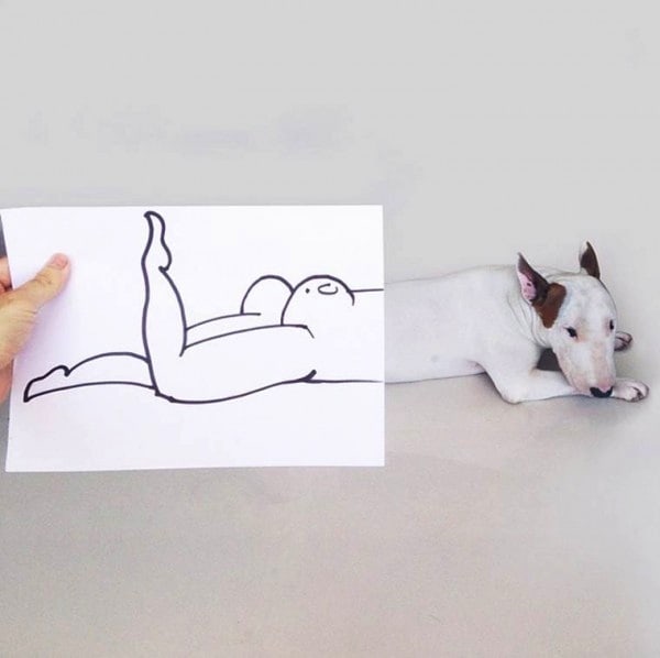 rafael_mantesso_creates_playfull_illustrations_around_his_bull_terrier_2014_05