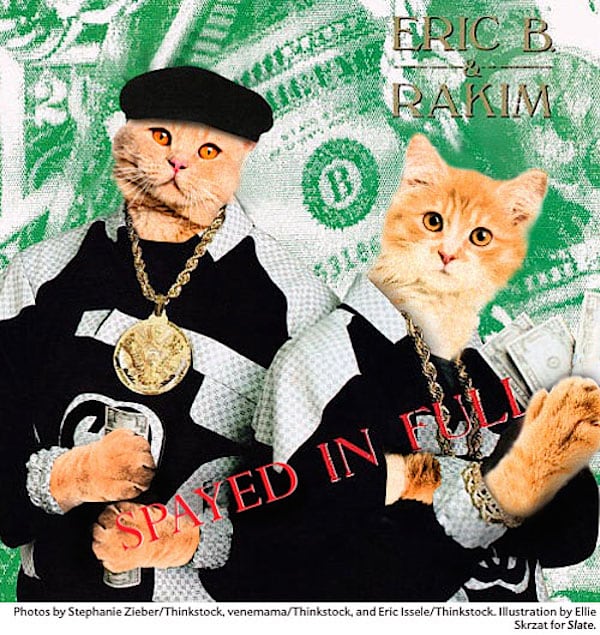 cat_rap_hiphop_covers_04