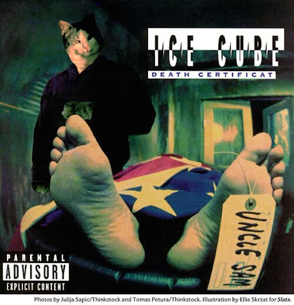 cat_rap_hiphop_covers_05
