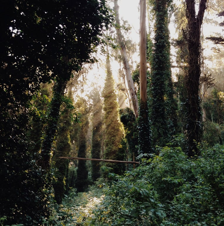 The Most Influential Travelling iPhone Photographer Kevin Russ iphone-photography-5