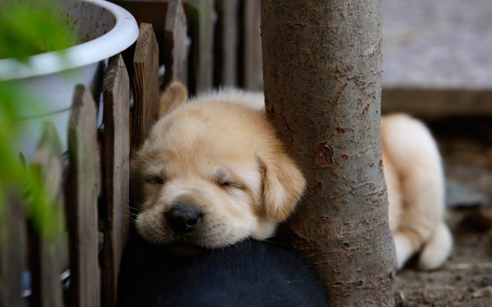 sleepingpeople14