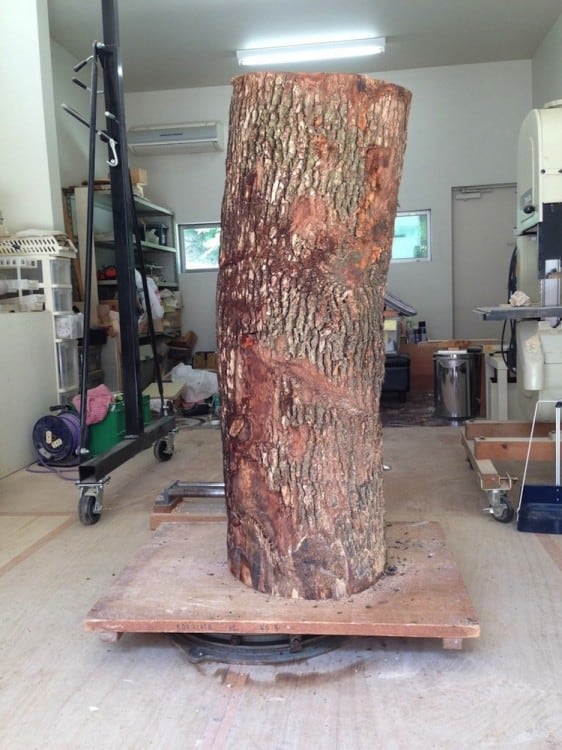 Life_Size_Sculpture_Carved_From_A_Tree_Trunk_by_Yoshitoshi_Kanemaki_2014_05