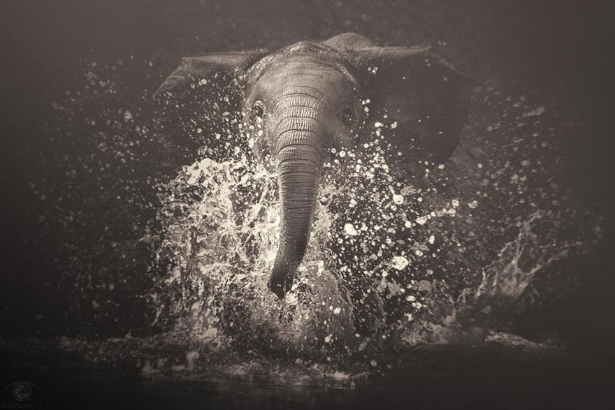 africa-souls-zoo-photography-manuela-kulpa-4