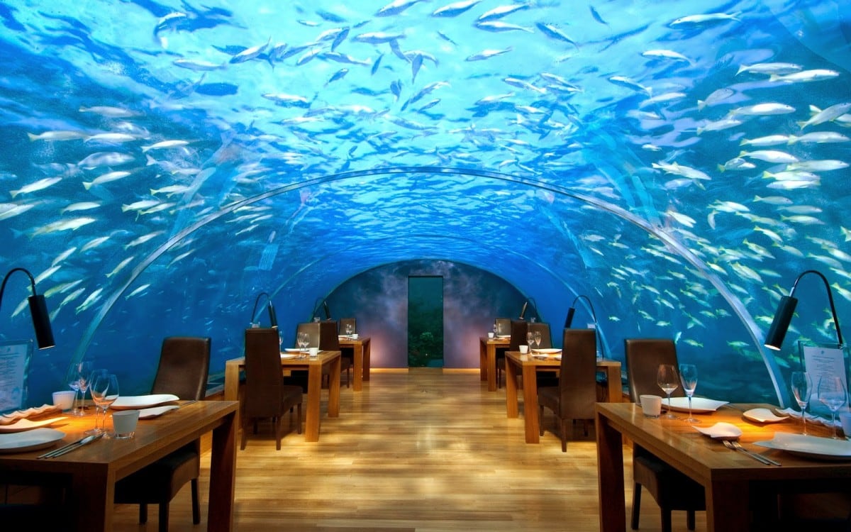 conrad-underwater-restaurant-maldives