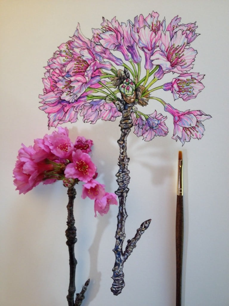 flowers-in-progress-a-beautiful-series-of-illustrations-by-noel-badges-pugh-3-768x1024