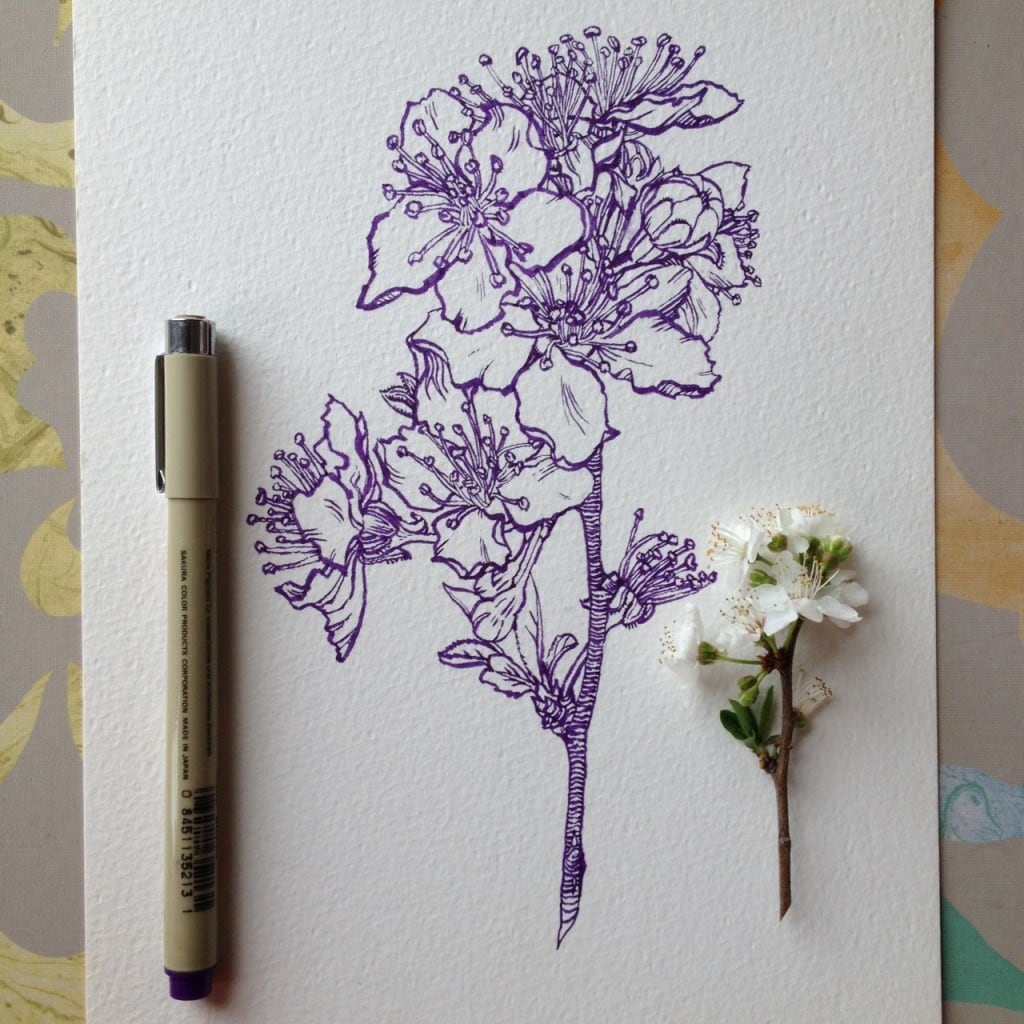 flowers-in-progress-a-beautiful-series-of-illustrations-by-noel-badges-pugh-5-1024x1024