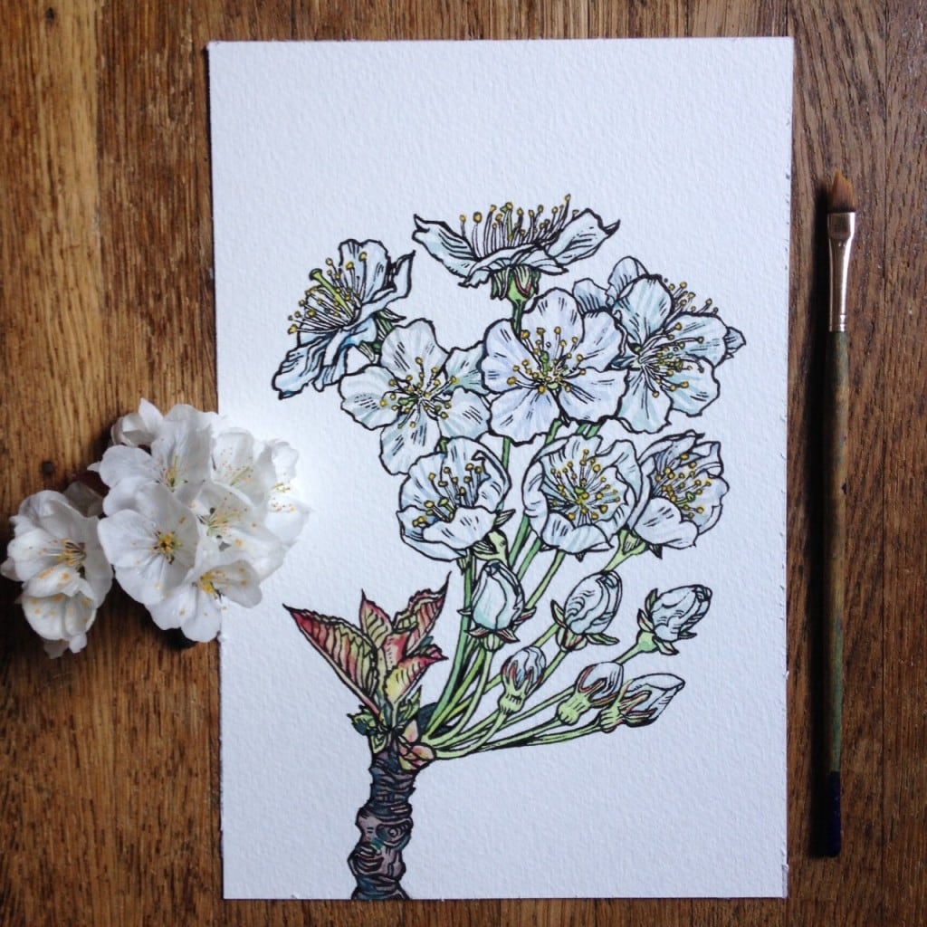flowers-in-progress-a-beautiful-series-of-illustrations-by-noel-badges-pugh-6-1024x1024