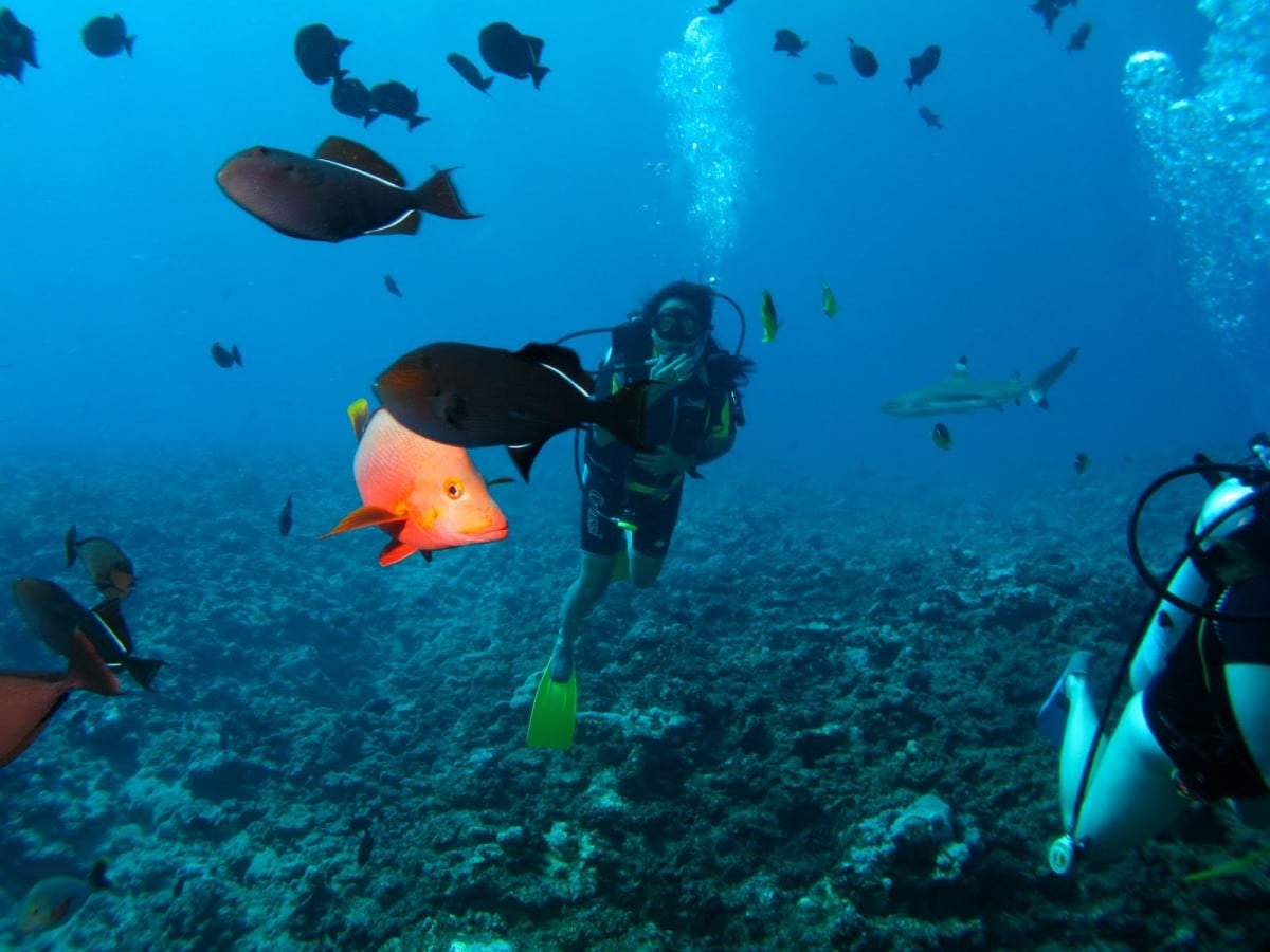 scuba diving french polynesia
