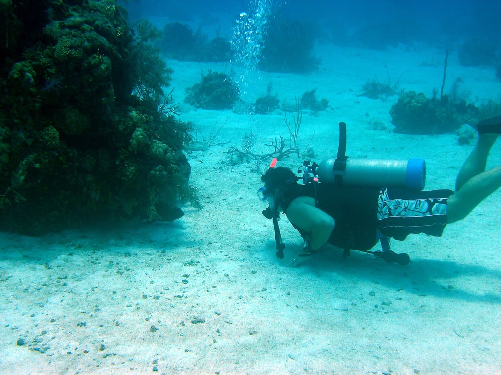 scuba diving turk and caicos