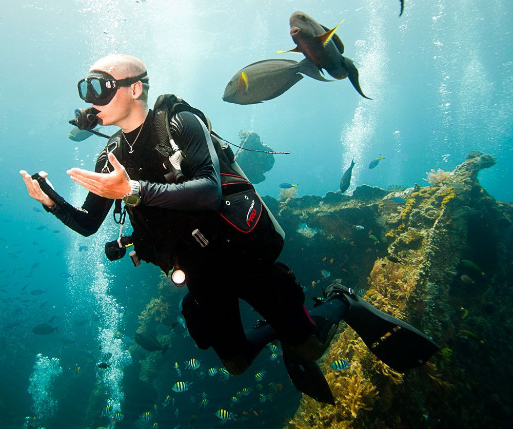 Best Scuba Diving Destinations In The World Freeyork