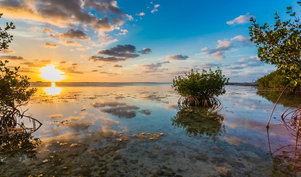 Key West: 25 Photos of America's Hottest New Luxury Destination for 2015 beautiful-key-west-florida-photos-23