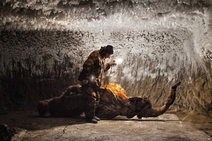 Evgenia Arbugaeva’s Breathtaking Journey into Remote Parts Of Russia evgenia arbugaeva