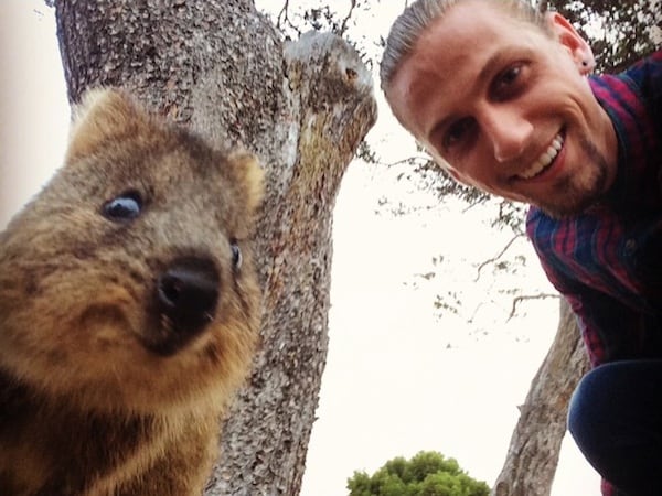 Quokka_Selfies_Meet_the_Worlds_happiest_Animal_on_Instagram_2015_10