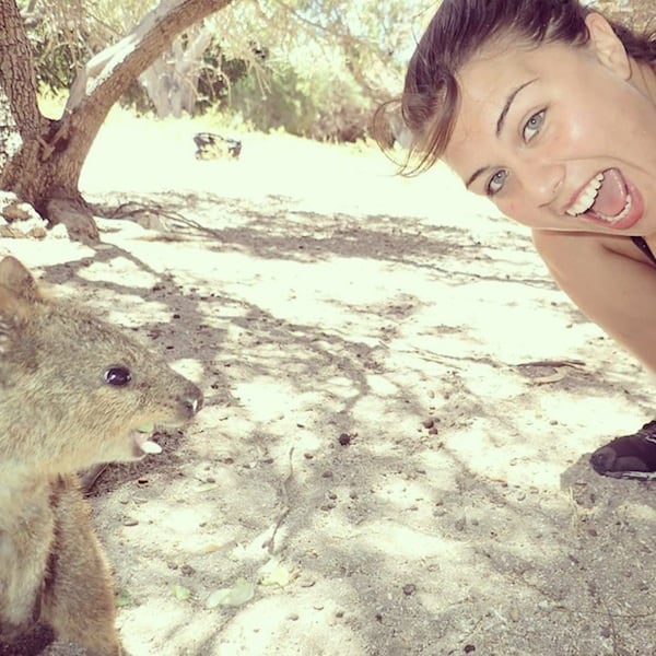 Quokka_Selfies_Meet_the_Worlds_happiest_Animal_on_Instagram_2015_11