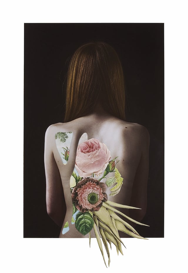 Hypnopompic Floral Collages by Rocio Montoya hypnopompic-5