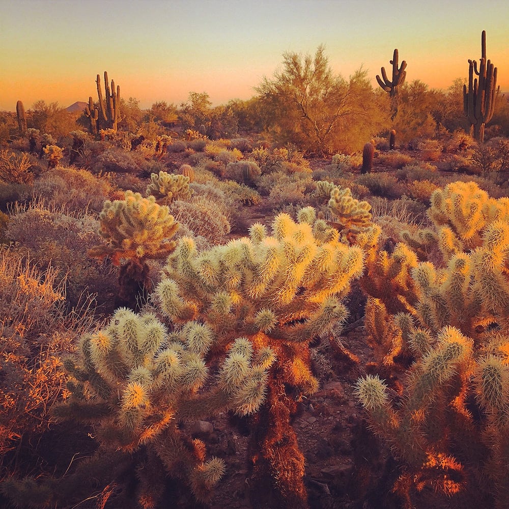 Shot on iPhone 6 - Apple’s Favorite Photos Shot with the iPhone 6 iphone6_photography_collection_04