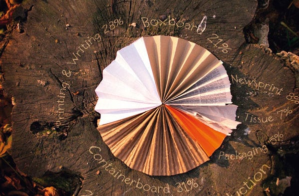 paperpie_chart