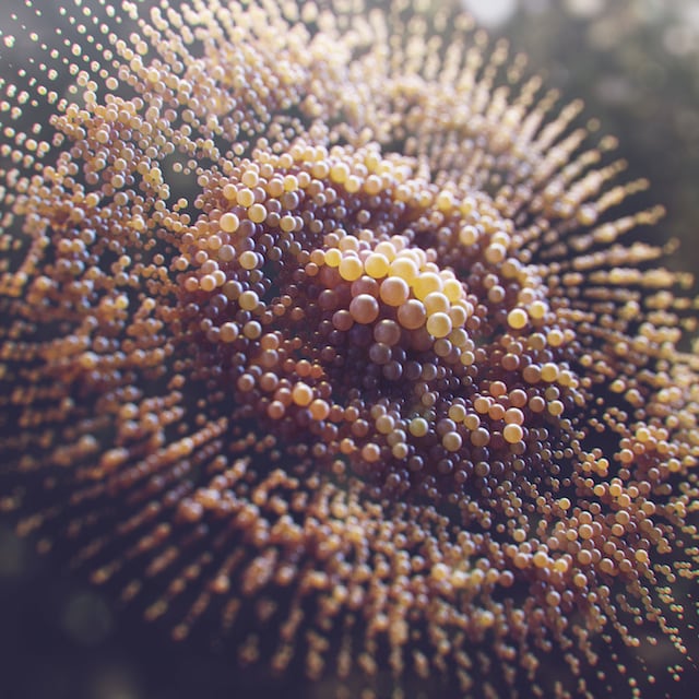 rawandrendered-12