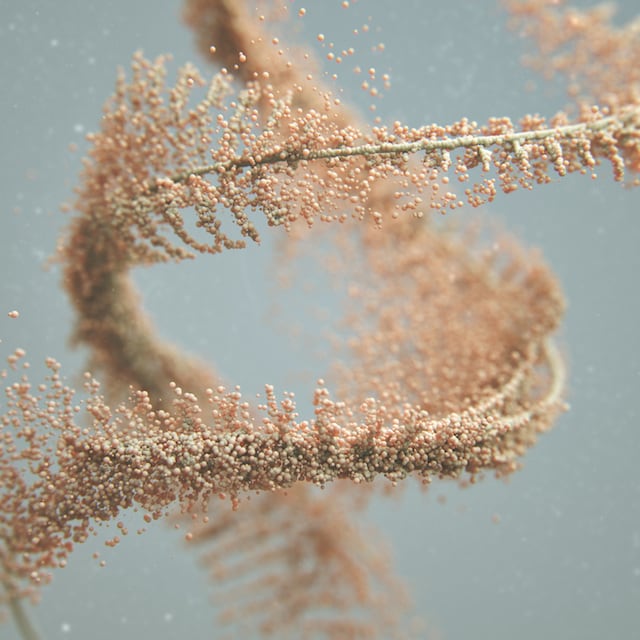 rawandrendered-13