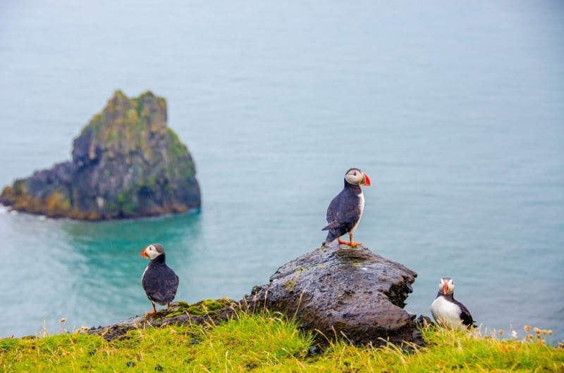 faroe-islands-shutterstock-5