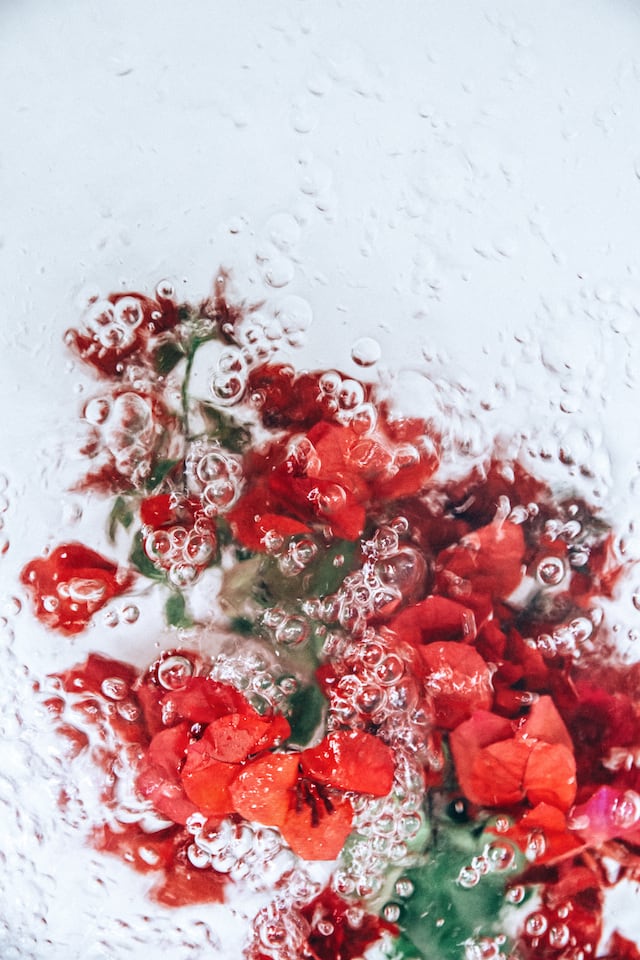 lisa_sorgini_flotsam_03