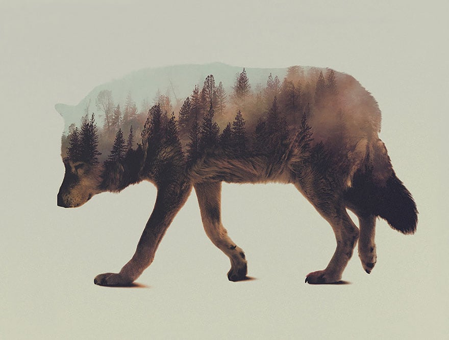 animals_06