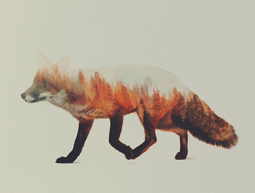 animals_07