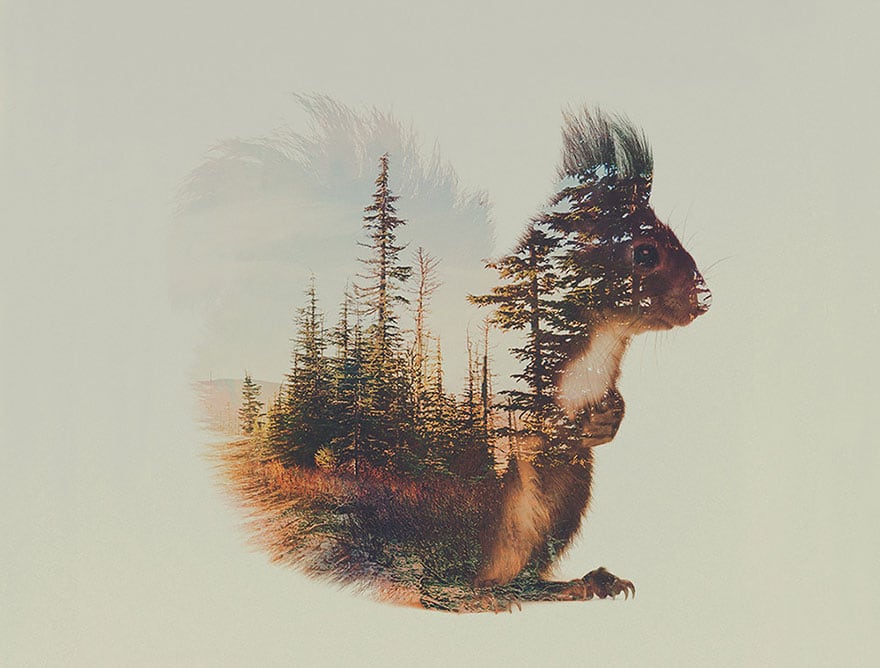 animals_08