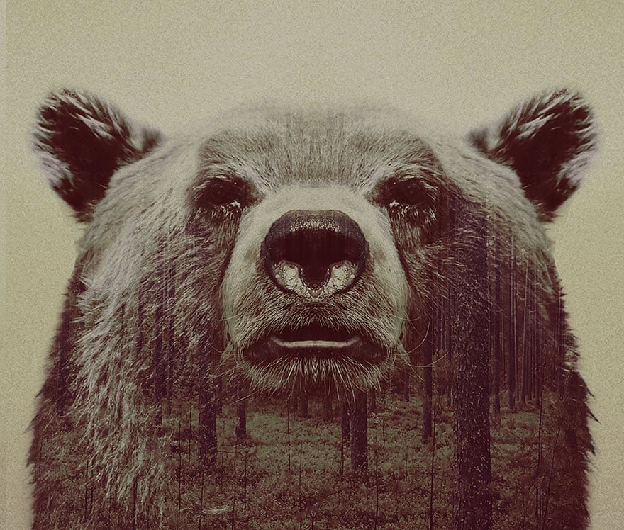 animals_10