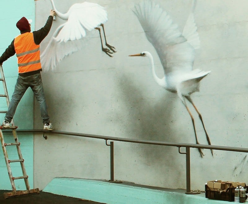 Concrete vs Concrete - New Mural by Eron in Riccione // Italy ethereal_bird_mural_eron_05
