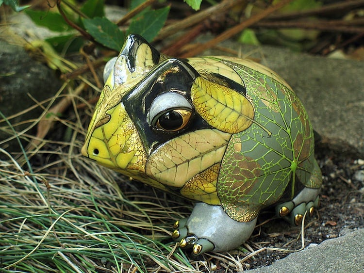 porcelain-frog