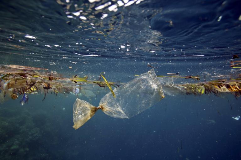 plastic waste in the oceans