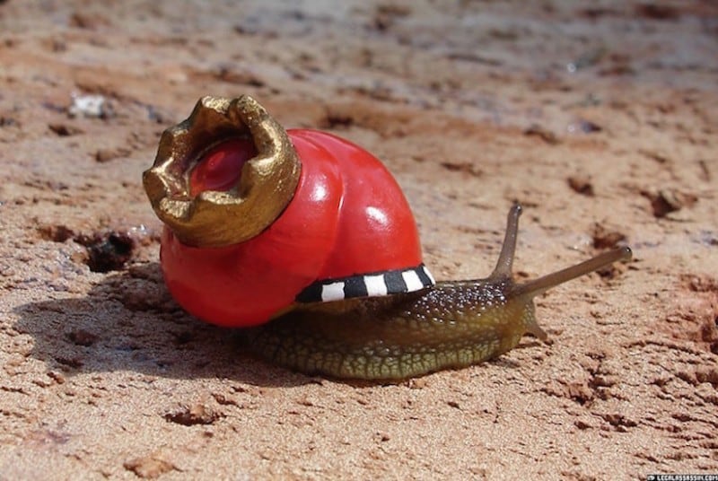 Artist Gives Snail Shells an Upgrade So People Don’t Accidentally Step on Them stefansiverud-snailpimp-snail-art-06