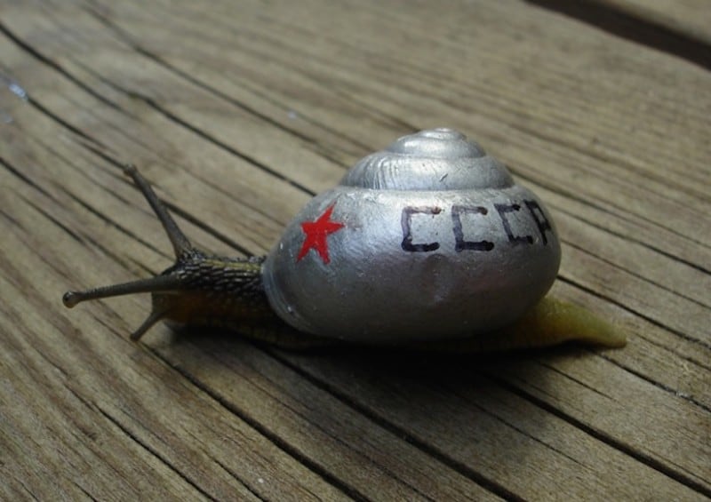 stefansiverud-snailpimp-snail-art-15