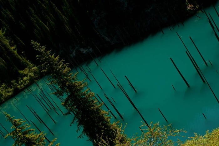 Sunken Forest in Kazakhstan Hides the Puzzling Story sunken-forest-kazakhstan-7