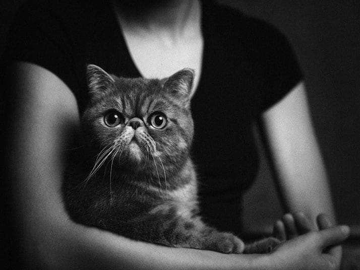 vincent-legrange-expressive-animal-portraits-8
