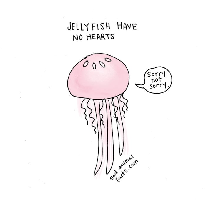 Sad Animal Facts - Illustrations by Brooke Barker sad_animal_facts_03