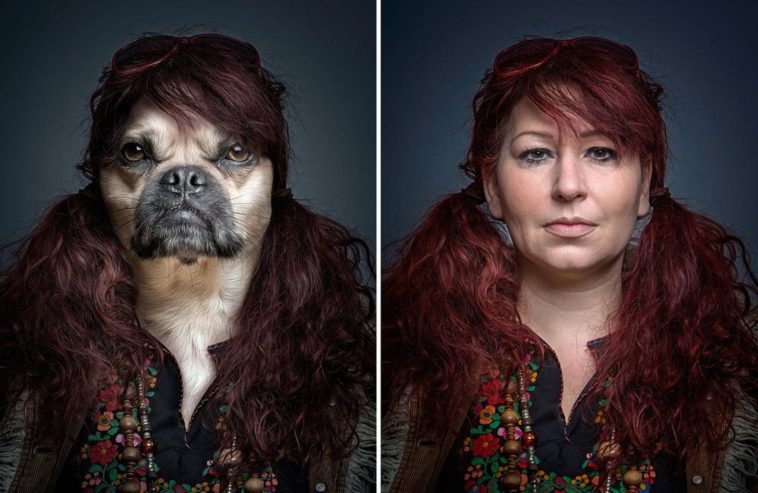 Dog spliced with their owner