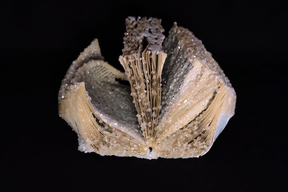 Artist Turns Old Books, Magazines, and Computer Manuals into Crystallized Sculptures “to kill a mockingbird” (2014)