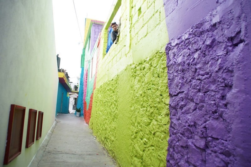 giant-street-art-palmitas-macro-mural-germen-crew-mexico-7