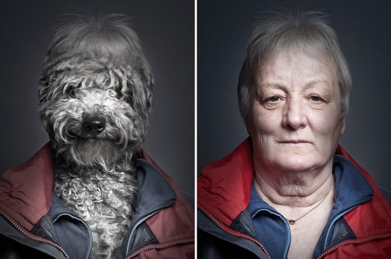Hilarious Underdogs Photo Project by Sebastian Magnani underdog-dogs-dressed-like-owners-sebastian-magnani-2