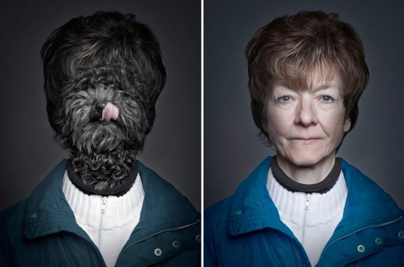 Hilarious Underdogs Photo Project by Sebastian Magnani underdog-dogs-dressed-like-owners-sebastian-magnani-5