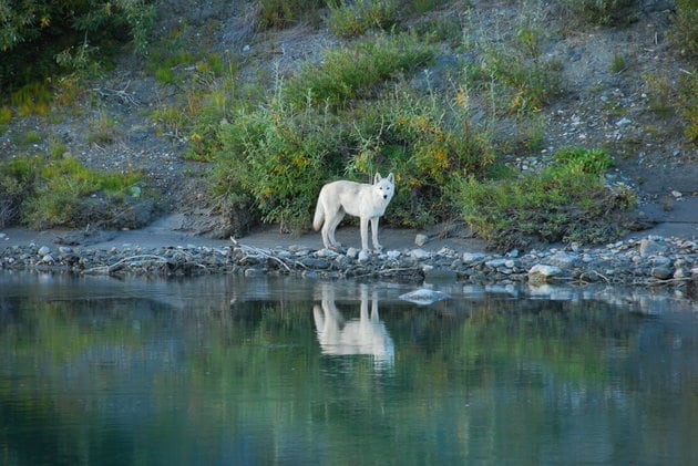 These 20 Magical Photos Of Alaska Will Help You Escape The Heat Noatak River, Gates of the Arctic National Park and Preserve