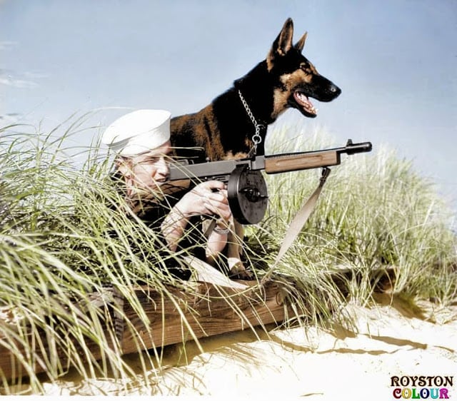 'Dog Beach Patrol', (possibly on Parramore Beach, Virginia, US. October 1943). (Source - United States Coast Guard - Photo No.726. Colorized by Royston Leonard from the UK)