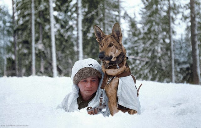 A Finnish soldier practices maneuvers in the winter snow at a military dog training school during the Finnish-Soviet Continuation War. Hämeenlinna, Finland. February 1941. (Source - SA-kuva. Colorized by Jared Enos) 