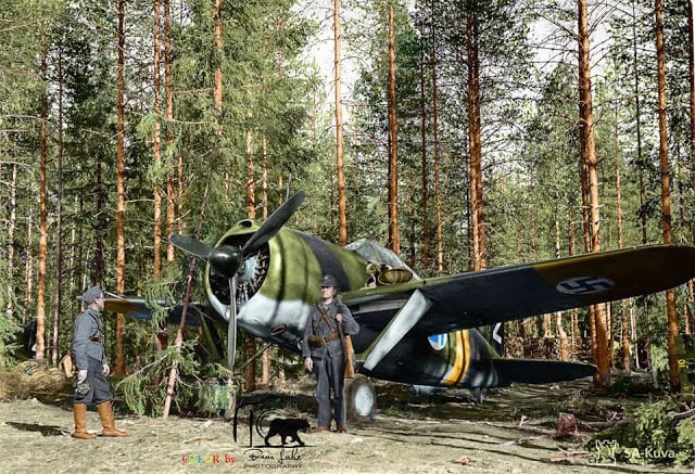 A Finnish Brewster Buffalo 239 fighter (BW-352) of (Squadron) Lentolaivue/24 at Selänpää airfield. 24th June 1941. (Source - SA-Kuva. Colorized by Tommi Rossi from Finland)