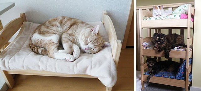 Ikea doll beds turned to cat beds