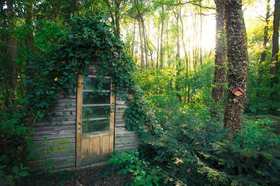 the-most-beautiful-abandoned-cabins-waiting-for-owners-to-come-12