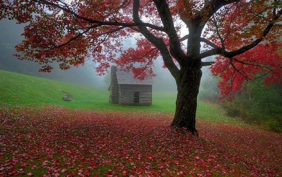 the-most-beautiful-abandoned-cabins-waiting-for-owners-to-come-14