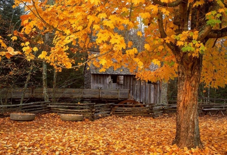 the-most-beautiful-abandoned-cabins-waiting-for-owners-to-come-17